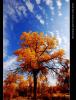 �ҵ����