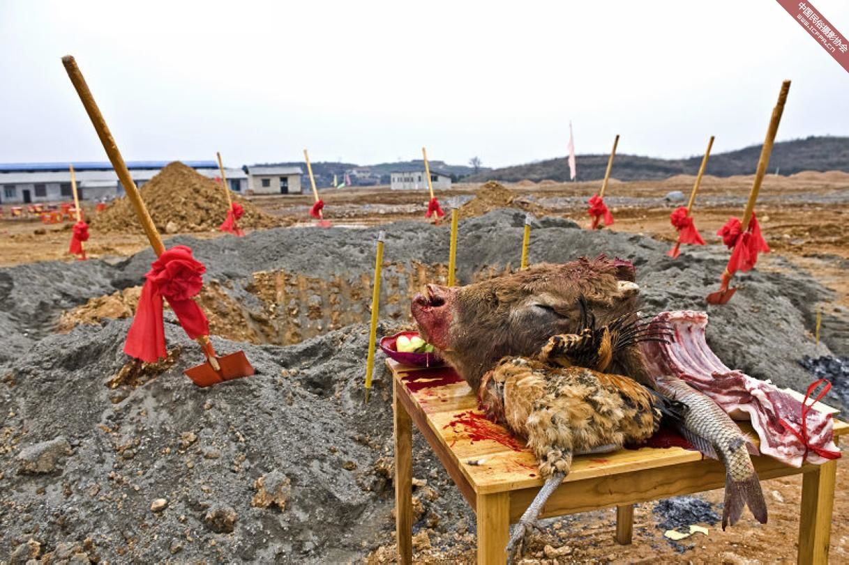 建筑工地开工杀牛祭祀,源于原始祭祀——苗族牯藏节