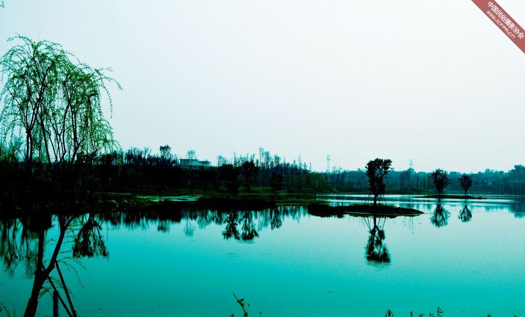 乡白鹭湾风景 (9)